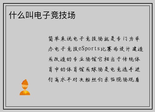 什么叫电子竞技场